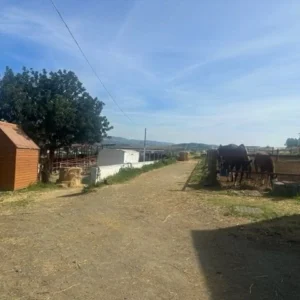 27,284m² Plot for Sale in Parekklisia, Limassol District
