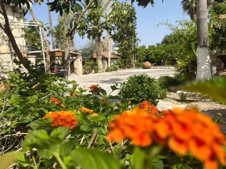 1 Bedroom House for Rent in Anarita, Paphos District