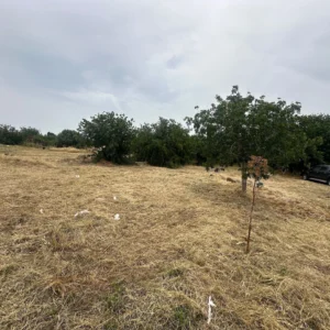 4,303m² Plot for Sale in Empa, Paphos District