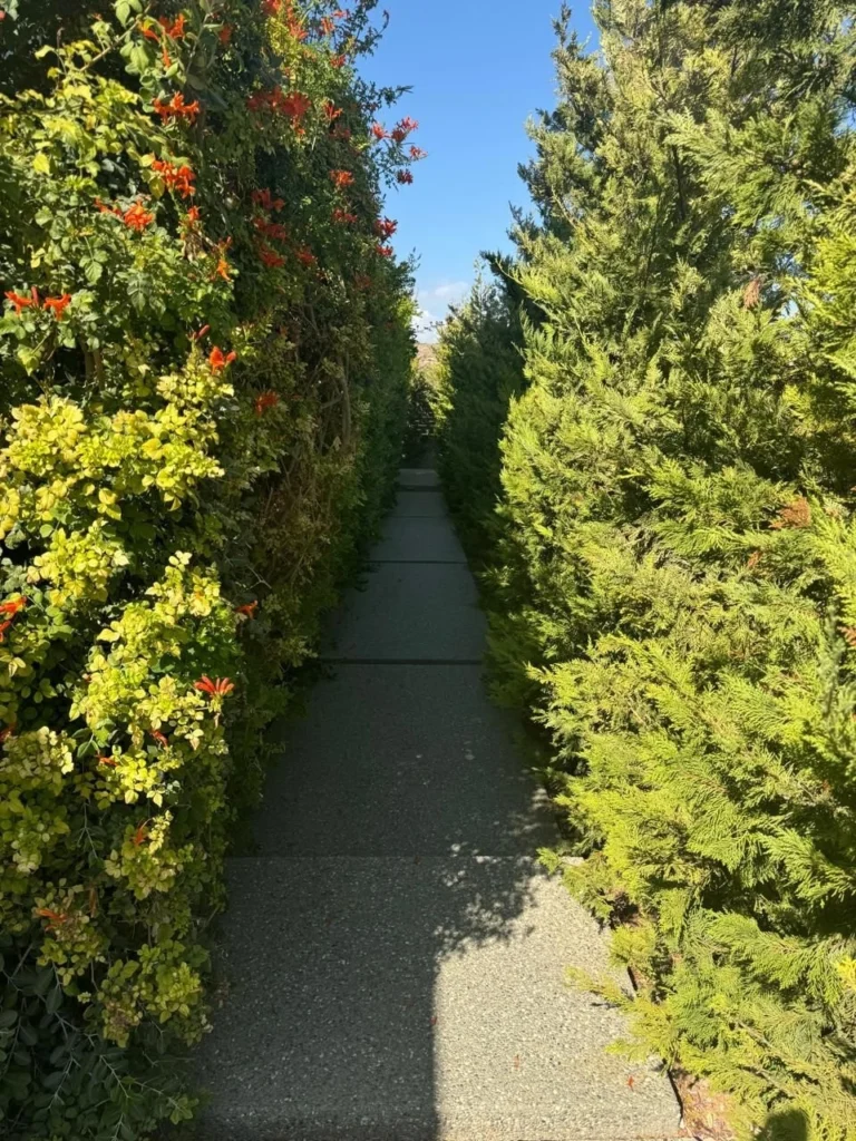 4 Bedroom House for Sale in Erimi, Limassol District