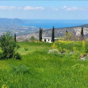 23,000m² Plot for Sale in Polis Chrysochous, Paphos District