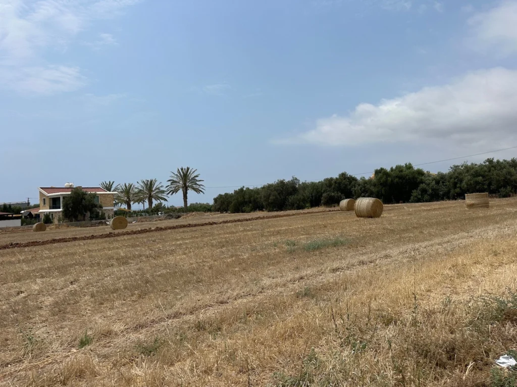 10,216m² Plot for Sale in Pegeia, Paphos District