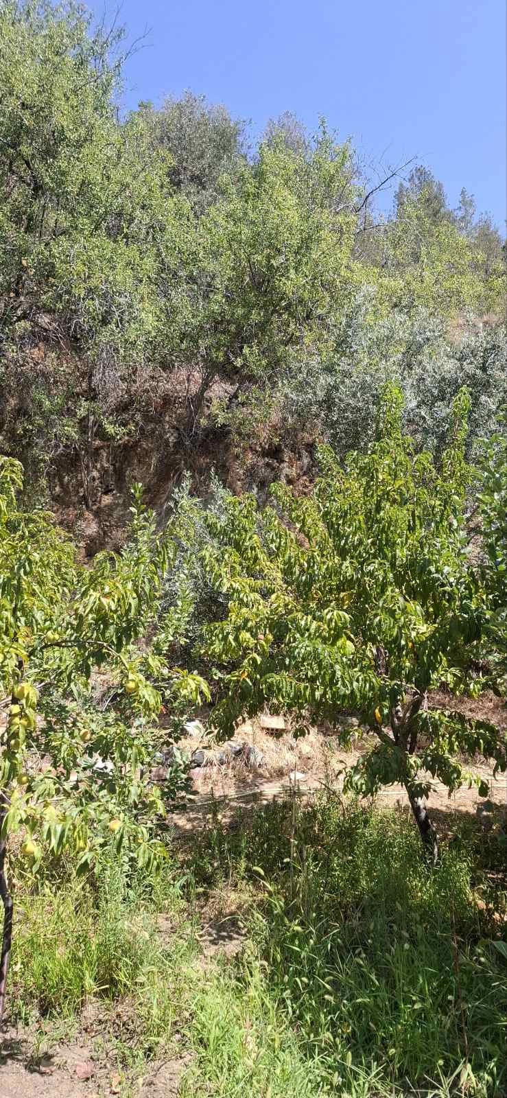 2 Bedroom House for Rent in Zoopigi, Limassol District