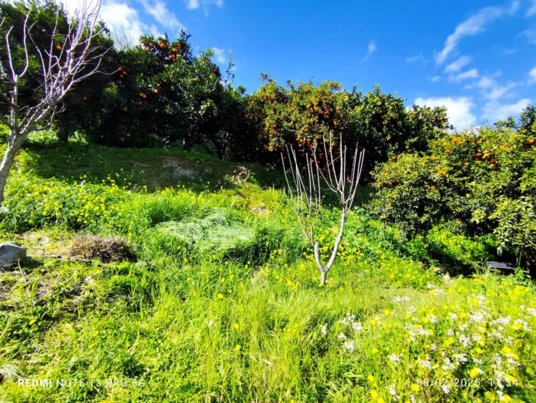 2,066m² Plot for Sale in Dierona, Limassol District