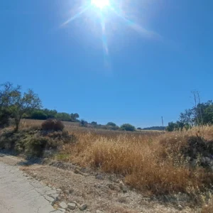 5,017m² Plot for Sale in Koili, Paphos District