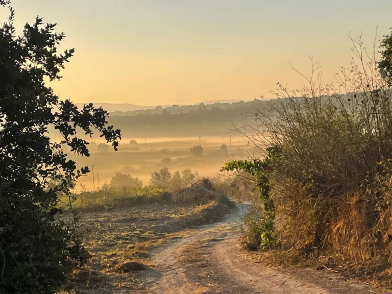 3 Bedroom House for Sale in Paphos District