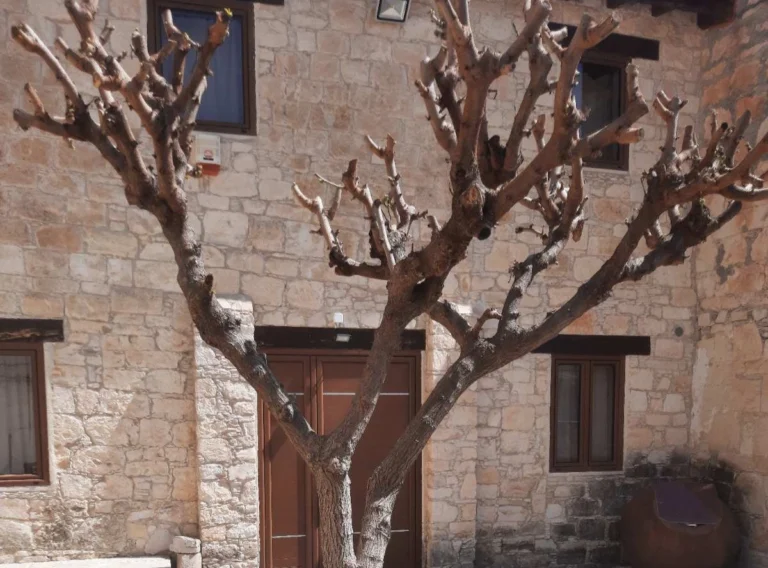 3 Bedroom House for Rent in Vasa Koilaniou, Limassol District