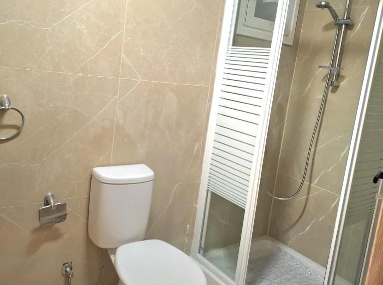 1 Bedroom Apartment for Rent in Pelendri, Limassol District