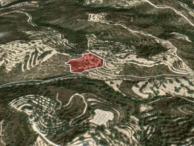 8,027m² Plot for Sale in Koili, Paphos District