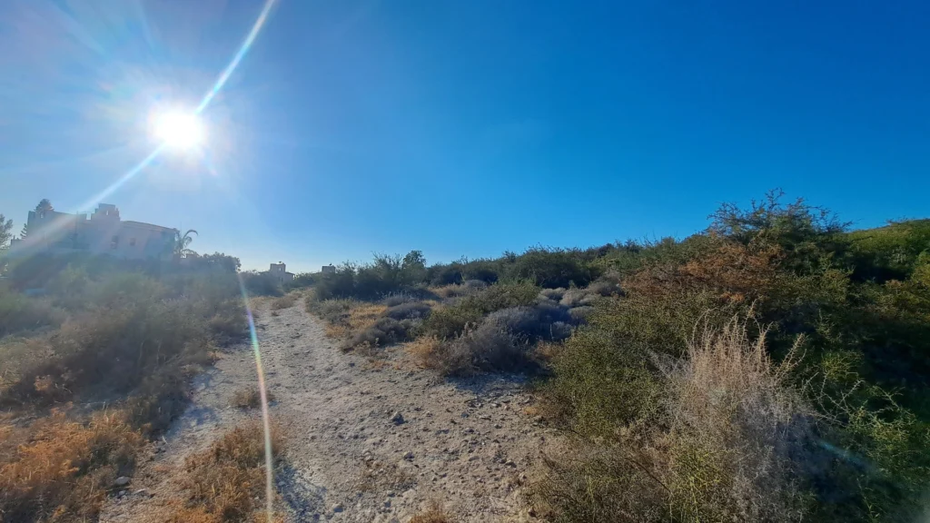 3,011m² Plot for Sale in Pegeia, Paphos District