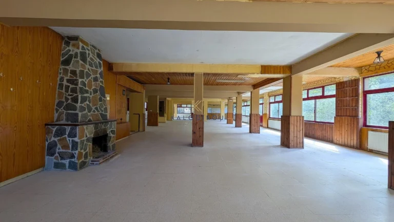 709m² Commercial for Sale in Kakopetria, Nicosia District