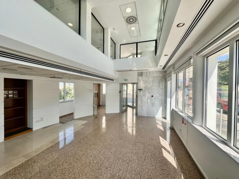 1250m² Building for Rent in Paphos District