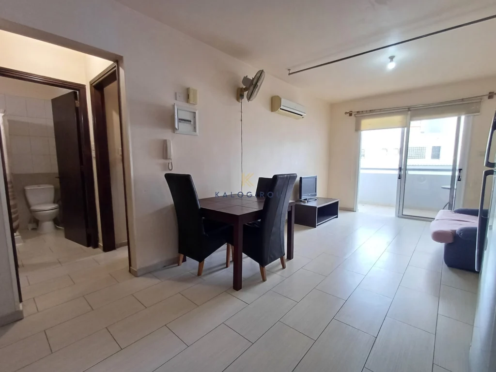 1 Bedroom Apartment for Rent in Larnaca District