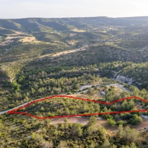 10,703m² Plot for Sale in Agios Therapon, Limassol District