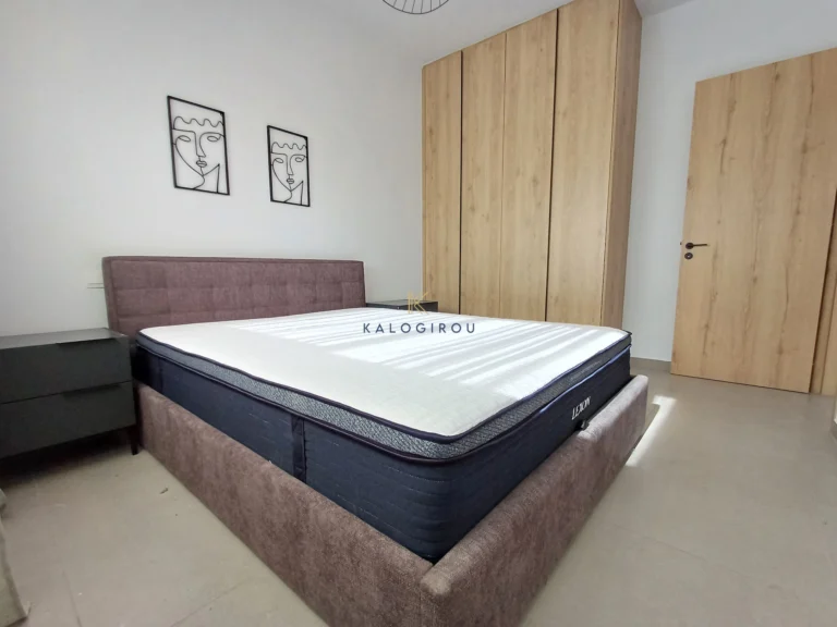 1 Bedroom Apartment for Rent in Larnaca District