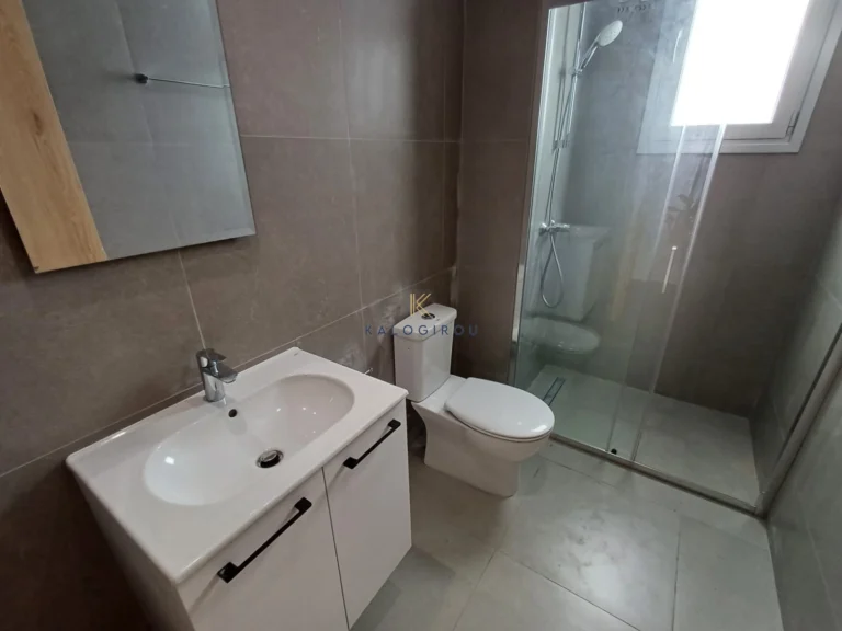 1 Bedroom Apartment for Rent in Larnaca District