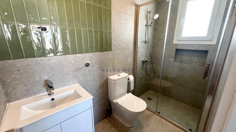 2 Bedroom Apartment for Rent in Larnaca District