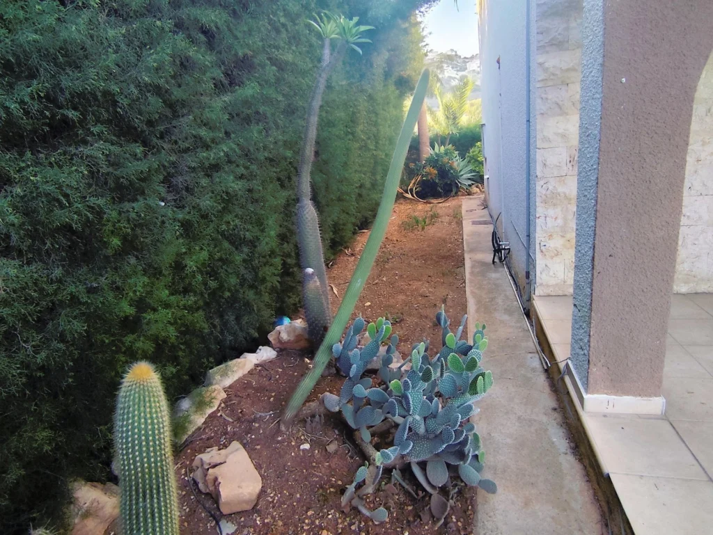 2 Bedroom House for Rent in Agios Tychonas, Limassol District