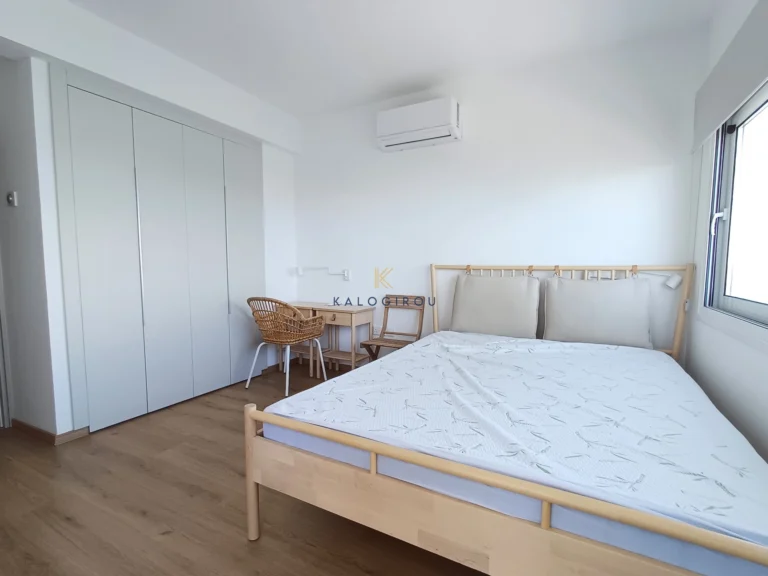 2 Bedroom Apartment for Rent in Larnaca District