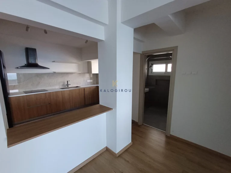 2 Bedroom Apartment for Rent in Larnaca District