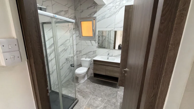 1 Bedroom Apartment for Rent in Kato Polemidia, Limassol District