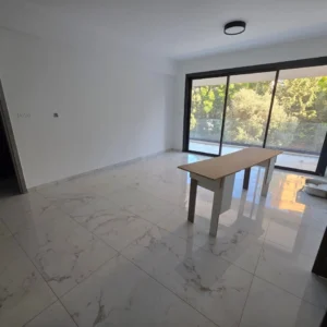 1 Bedroom Apartment for Rent in Limassol – Agios Nektarios