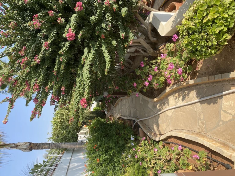 739m² House for Sale in Limassol – Panthea