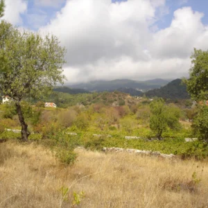 6,523m² Plot for Sale in Pera Pedi, Limassol District