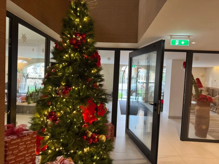 1 Bedroom Apartment for Rent in Limassol – Agia Zoni