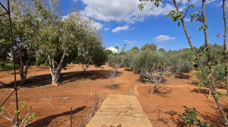 6+ Bedroom House for Sale in Famagusta – Agia Napa