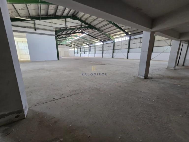 2300m² Commercial for Rent in Aradippou, Larnaca District