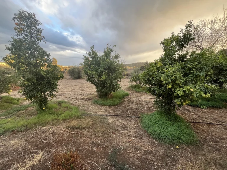 2 Bedroom House for Rent in Pyrgos Lemesou, Limassol District