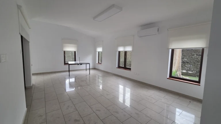 370m² House for Rent in Limassol – Agios Athanasios