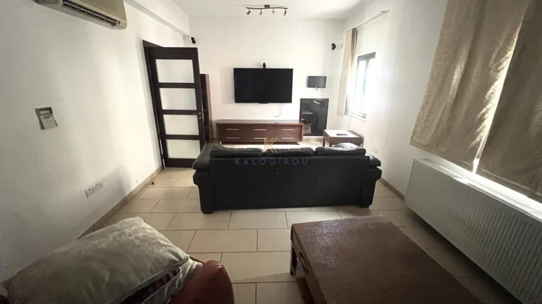 304m² House for Rent in Drosia, Larnaca District