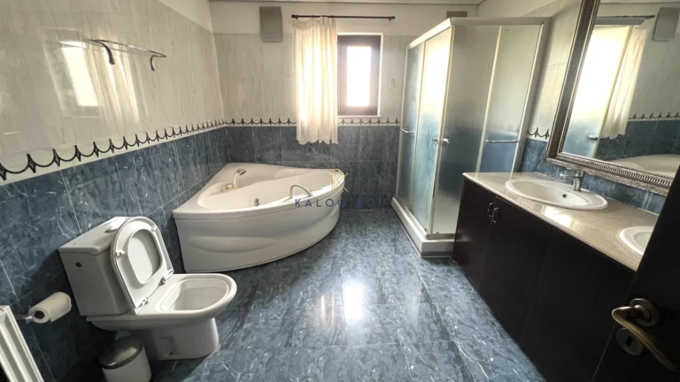 304m² House for Rent in Drosia, Larnaca District