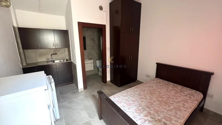 304m² House for Rent in Drosia, Larnaca District