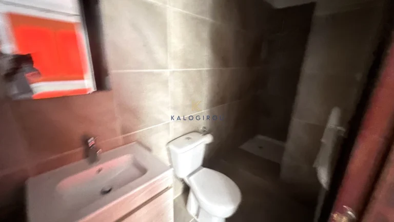 304m² House for Rent in Drosia, Larnaca District