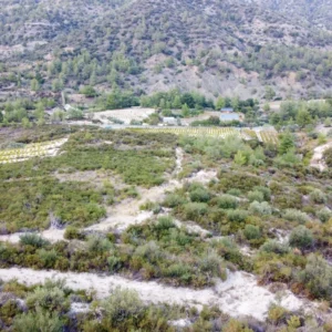 25,284m² Plot for Sale in Agios Mamas, Limassol District
