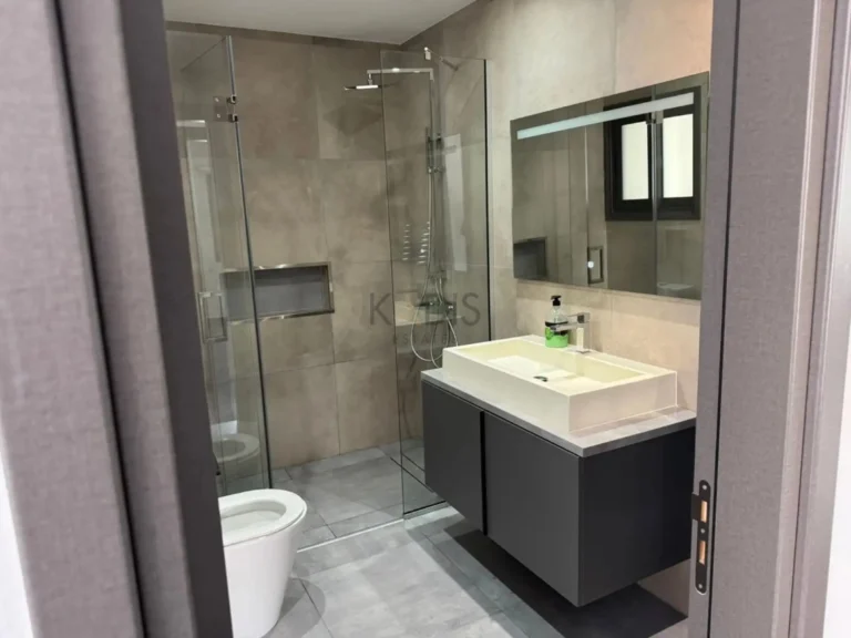 3 Bedroom House for Rent in Nicosia District