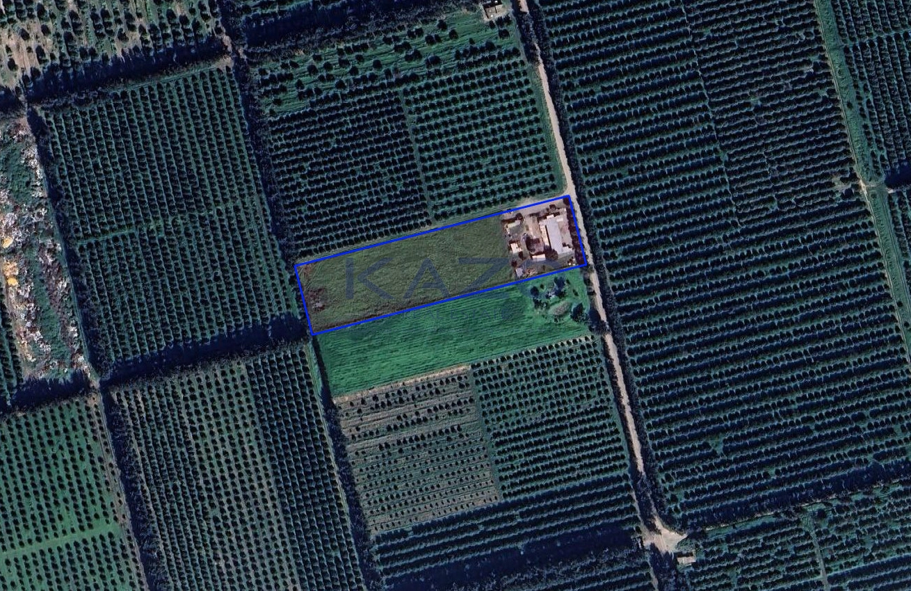 9,999m² Plot for Sale in Kolossi, Limassol District