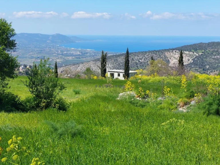 23,000m² Plot for Sale in Peristerona Pafou, Paphos District