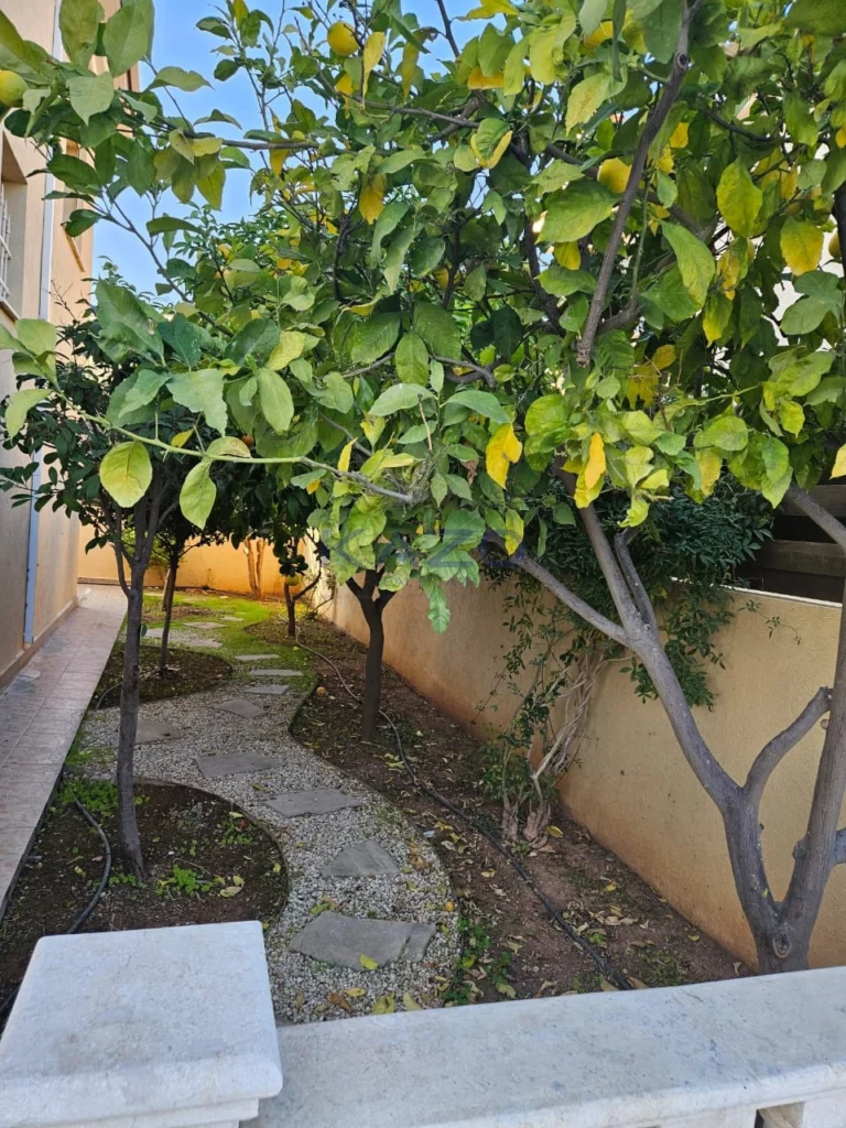 390m² House for Rent in Limassol District