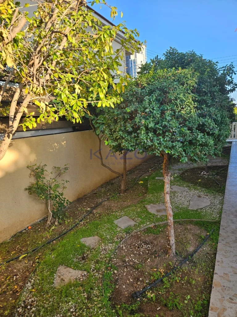 390m² House for Rent in Limassol District